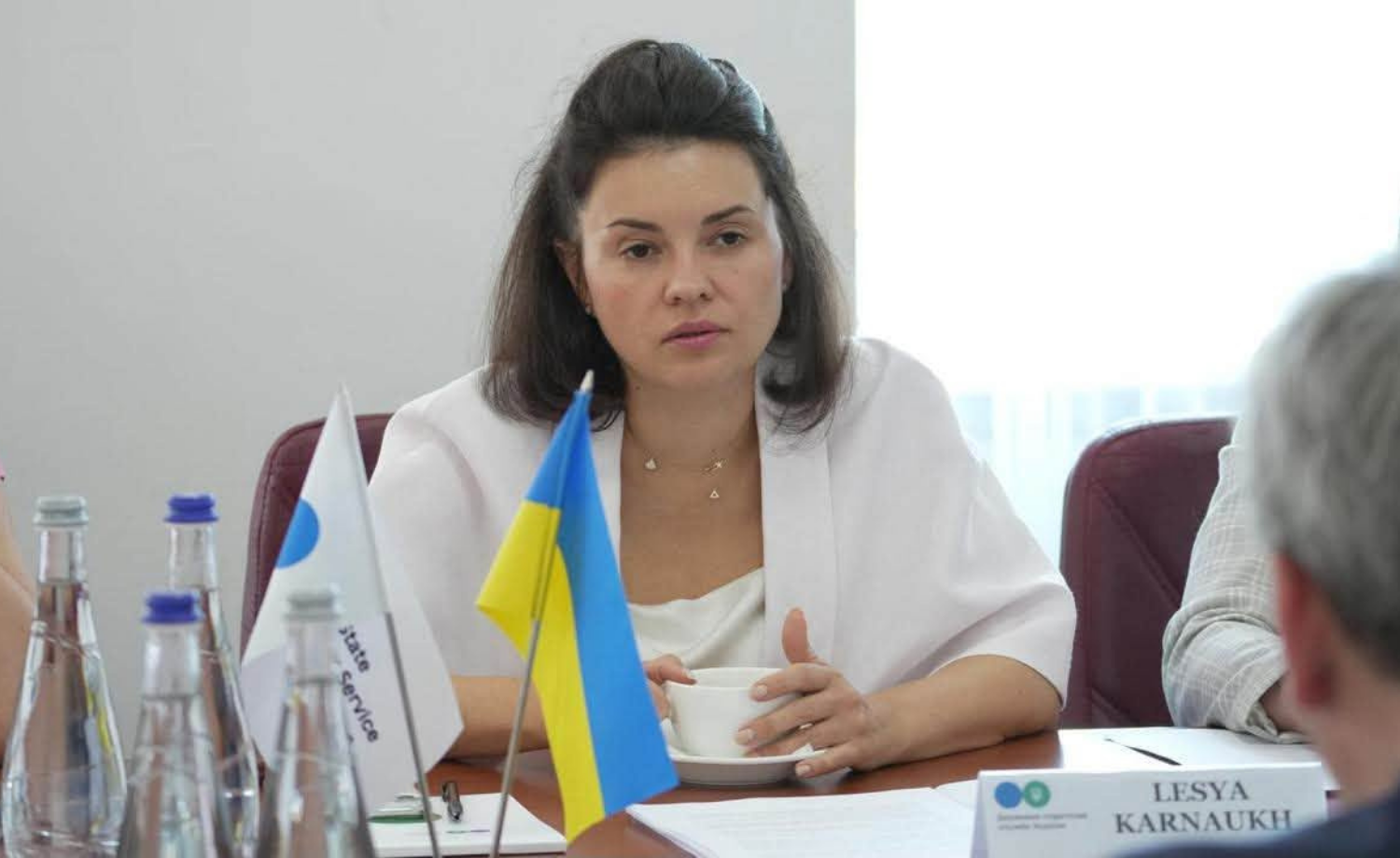 ДПС та МВФ обговорили подальші кроки з удосконалення податкового адміністрування
