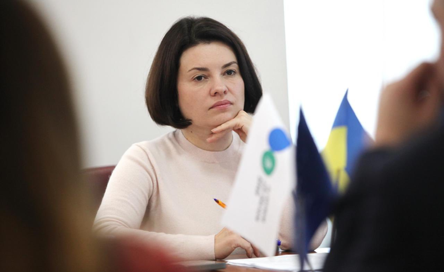 Lesya Karnaukh: EU4PFM will continue to support changes in the State Tax Service, focusing on digitalization, European integration processes and improving risk management. Фото № 5/4