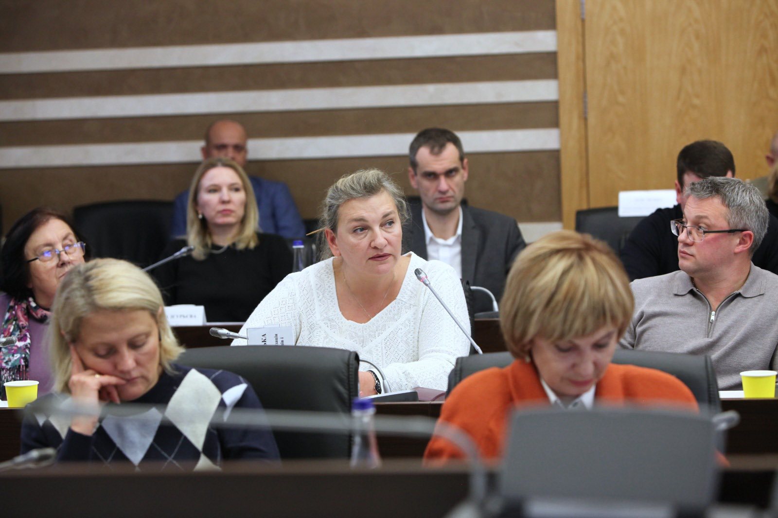 Леся Карнаух: Знаходимо оптимальні рішення у відкритому спілкуванні з бізнесом. Фото № 13/12