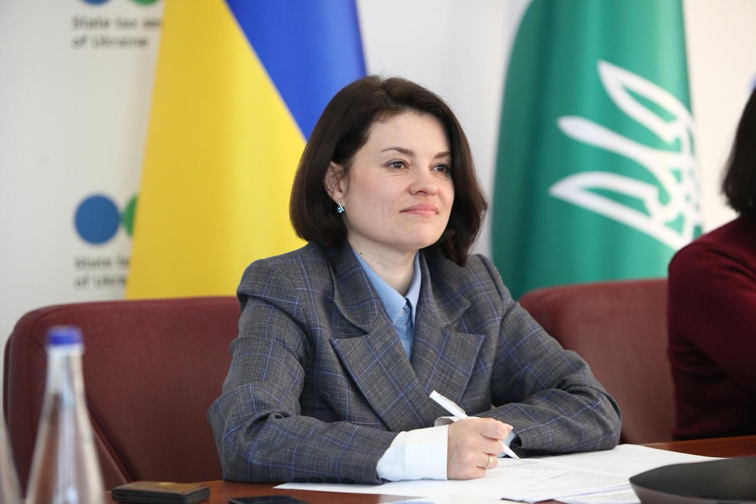 Transformation of the State Tax Service: international support and new business process architecture. Фото № 1/0