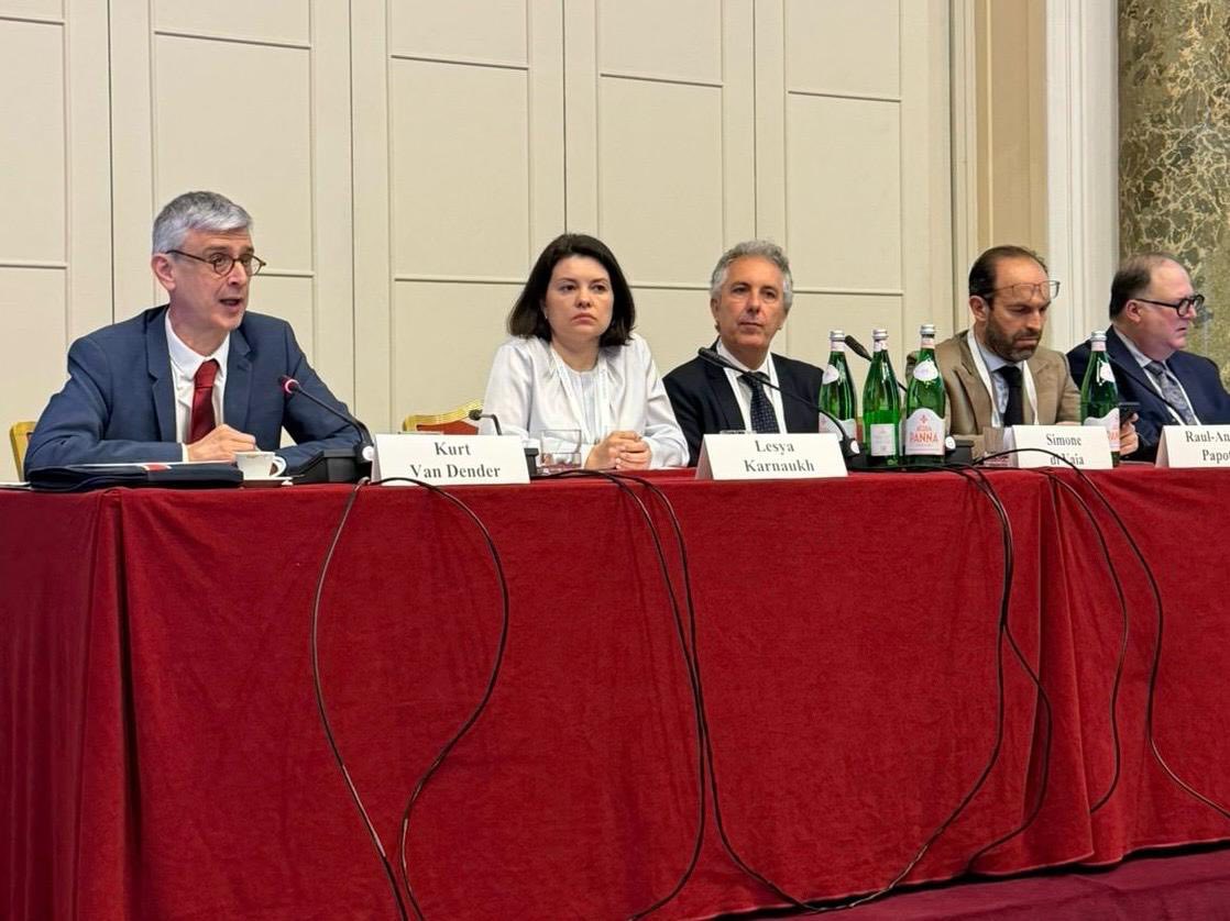 Леся Карнаух під час міжнародної конференції: Досвід України як забезпечувати стабільність податкового адміністрування під час війни є унікальним та цінним для багатьох країн. Фото № 4/3