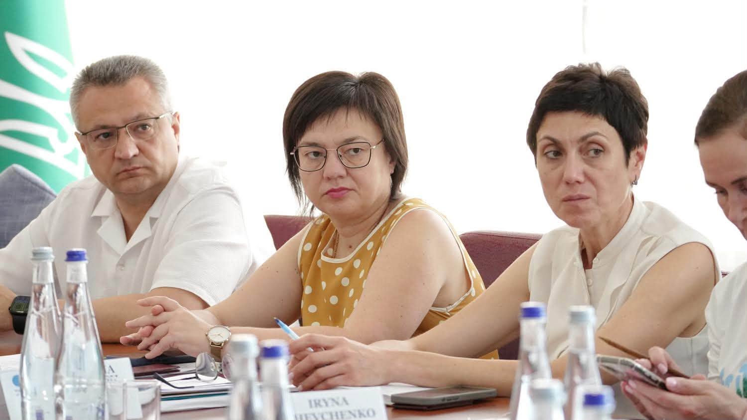 IT integration into the EU: State Tax Service and EU4PFM agreed on further steps for the European integration of Ukraine’s tax system. Фото № 8/7