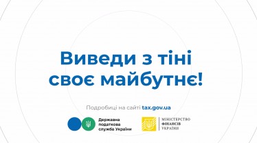 Одноразове (спеціальне) добровільне декларування, відеоролик 3